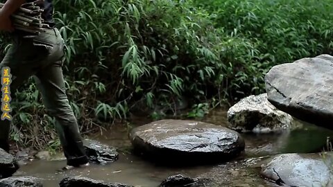 Man lives in the rain forest all year round and uses natural tree holes as shelter/Episode24