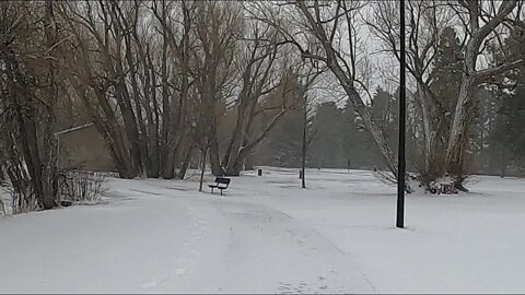 Global Warming Affecting Spring Gardens