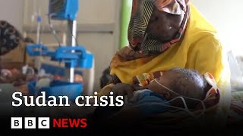 Residents in Sudan's El Fasher are besiegedand under attack | BBC News