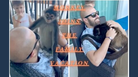 Monkey Randomly Joins The Family Vacation.