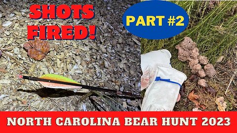 Dismal Swamp Bear Hunting North Carolina Day #2