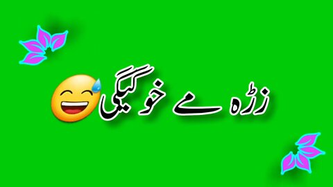 pashto poetry green screen status video _ whats app _ status