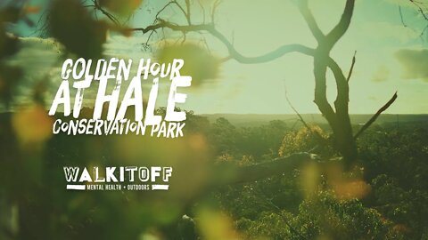 Golden Hour Hike at Hale Conservation Park