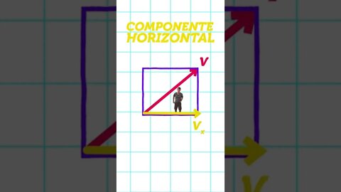 O que são as COMPONENTES de um VETOR? | Decomposição de Vetores | #shorts