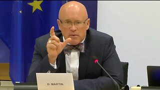 Martin i EU-parlamentet