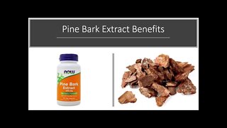 Pine Bark Benefits