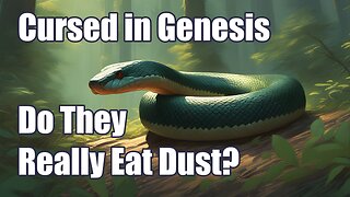 The Curse of the Serpent: Do snakes really eat dust like Genesis says?