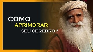 APRIMORE A CAPACIDADE DE SEU CÉREBRO, SADHGURU DUBLADO, MOTIVAÇÃO MESTRE