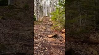 Steep incline while hiking 😅