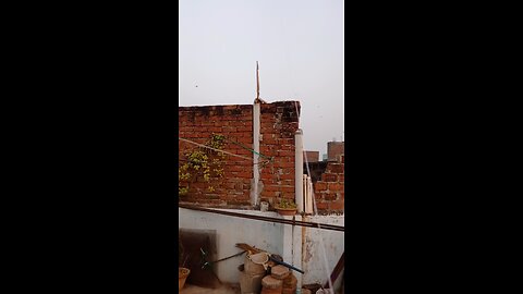 makarsankranti masti