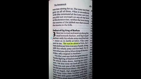 “Do not be afraid” mentioned in the Bible 365 times, there are No Coincidences 🎚️🙏