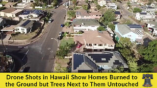 Drone Shots in Hawaii Show Homes Burned to the Ground but Trees Next to Them Untouched
