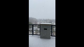 Snowing on my Balcony