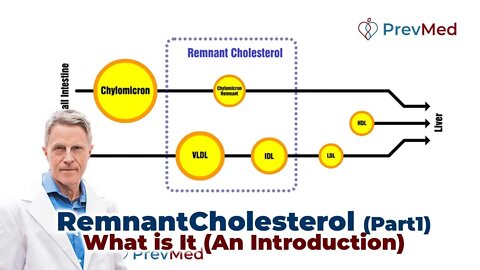 Remnant Cholesterol Part 1: What is It? (An Introduction)