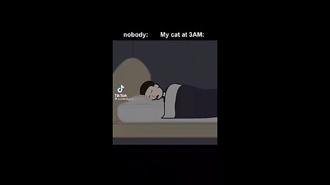 My cat at 3am