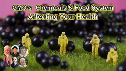 GMO’s, Chemicals, And The Food System And How They Directly Affect Your Health