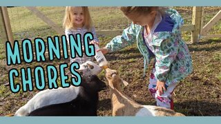 Morning Chores on the Homestead