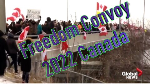 CANADIAN TRUCKER FREEDOM CONVOY 2022