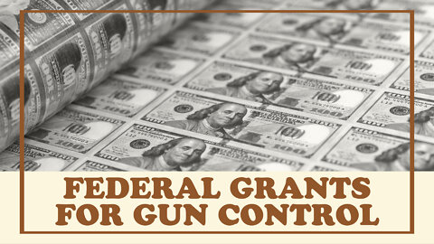 Federal Stimulus Funds Gun Control Surveillance