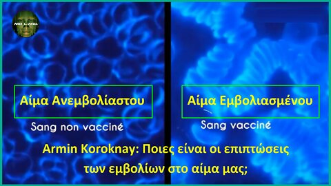 Armin Koroknay: Ποιες είναι οι επιπτώσεις των εμβολίων στο αίμα μας;