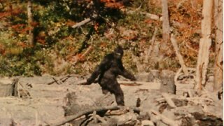 Bigfoot sighting in Pennsylvania- September 29, 2023