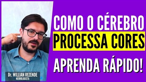 Como o Cérebro Processa Cores