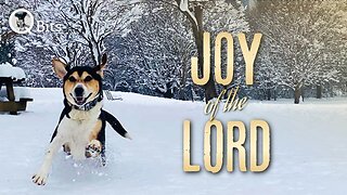 #647 // JOY OF THE LORD - LIVE