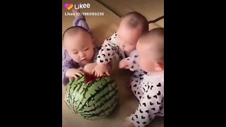 The baby is fighting in the watermelon funny video (2022)