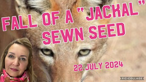 FALL of a “JACKAL” - a Sees SEWN/22 July 2024 - prophecy getting filfilled