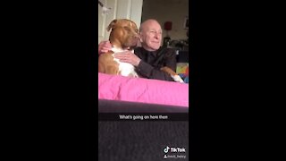 Loyal doggy shows his sweet friendship with elderly man