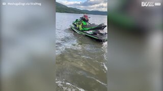 Stylish pug takes jet ski for a spin