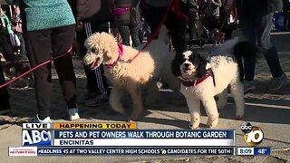 Pets, pet owners join Paw Walk in Encinitas