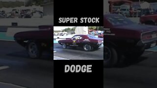 Super Stock Dodge! #shorts