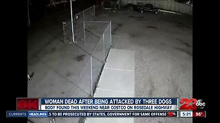 Three dogs fatally attack woman