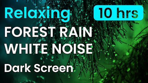 Relaxing Forest Rain with Birds | White Noise | Black Screen | 10 Hours