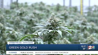 Green Gold Rush: Medical marijuana becomes Oklahoma's new cash crop