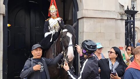 Oi what are you doing tourist pretends to kick horse #horseguardsparade
