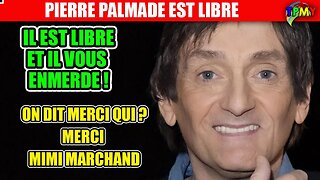 PIERRE PALMADE ne va pas en PRISON ! MERCI QUI, MERCI MIMI MARCHAND #gerardfaure #dofla #tpmp