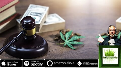 Lessons from Cannabis Industry Lawsuits: Avoiding Common Pitfalls and Legal Traps