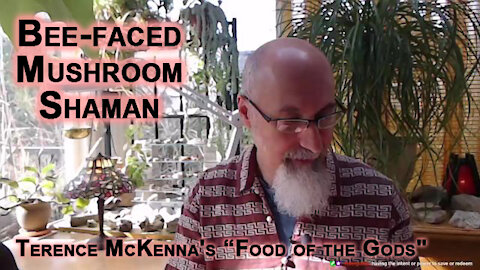 ASMR Book Club: Terence McKenna's “Food of the Gods", Bee-faced Mushroom Shaman of Tassili-n-Ajjer