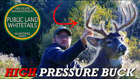 Big Michigan Buck | High Pressure Hunting | Nice Big Michigan Bucks