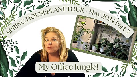 🎋 🪴 🌴 Houseplant Tour Spring 2024 - Part 3 …My Office Jungle! 🎋 🪴 🌴