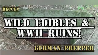 Recce# Wild Edibles & WWII Ruins!