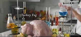 Whole Foods teams up with Progressive for Turkey Insurance