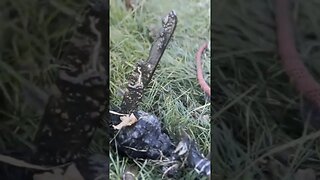 A SHOCKING Find while Magnet Fishing