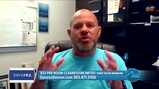 $33 Per Room! // Carpet Cleaning // Zerorez