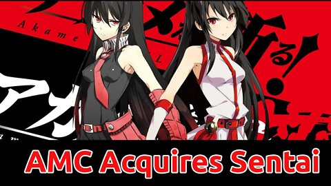 AMC Acquires Sentai Filmworks - More Anime Monopoly - Should You Worry? #anime
