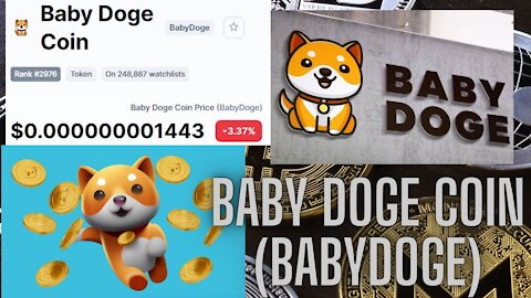 Baby Doge Coin Price (BabyDoge) current value $0.000000001443
