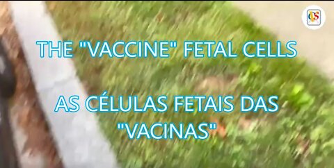 THE "VACCINE" FETAL CELLS * AS CÉLULAS FETAIS DAS "VACINAS"