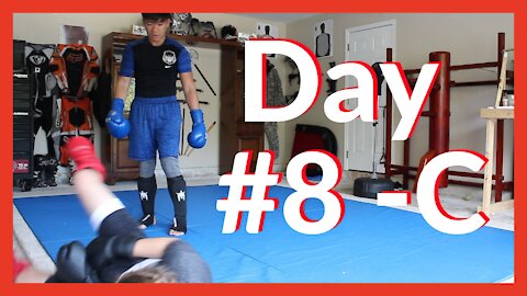 PAINFUL GROIN KICK 🥊🥋 #8C Sparring MMA, Wing Chun, JKD, Karate, Taekwondo, BJJ